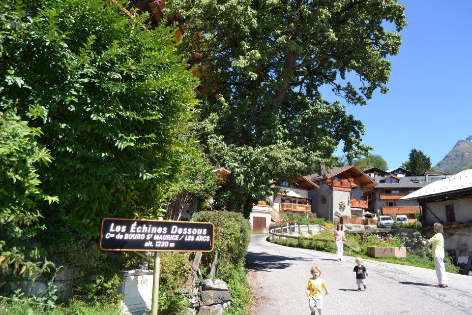 Chalet Tarine Villa Bourg-Saint-Maurice Room photo